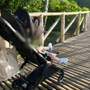 기용농장 | 겨울 해외여행지 추천 보홀 12월 날씨 및 아기랑 보홀여행 후기