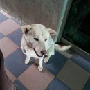 청산가든 별난매운탕 이미지