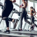 Fitness Tok 이미지