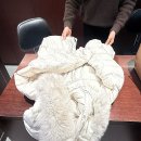 현대세탁전문점 이미지