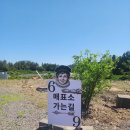 제주미로공원 제주도관광지추천 제주도관광 중문미로파크 후기