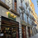 Spain_Day3. 그라나다 여행(feat. Bib Rombla, 알함브라궁전, El Pescaíto de Carmela, 아이스크림)