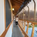 별빛애견 이미지