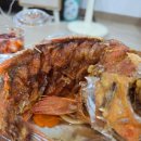 단단한림 | [제주/한림/협재] 협재해수욕장 회포장 맛집! 협재 고등어회 끝판왕 옹포횟집 고딱세트 후기
