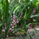 길상초등학교 이미지