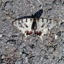 왕숙천 자전거도로15 이미지