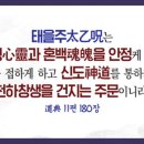 믿음약품 이미지