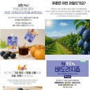 루솔 | 루솔 맘챔김 박스 후기 배도라지즙 아기간식 추천