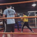 팀타이거복싱짐 이미지