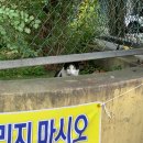 나야.. 가을..