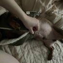 NR-67[옥계2공단로]-하-5 | 2년8개월만이오😅✋🏻