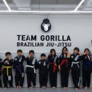 용인대 TM 태권도 이미지