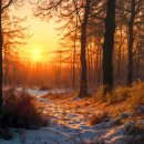 중장년 건강 관리 운동법 이미지