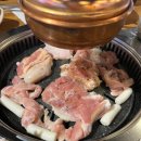 사계진미파인 이미지