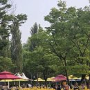 송학장터관리사무소 | 서울 데이트 코스 추천 | 난지캠핑장 바비큐존