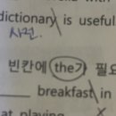 영어초보 질문답해줄 준바오..dictionary앞에 관사 이미지