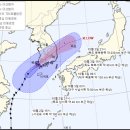 태풍 '미탁' 남부지방 상륙…경북 동해안 200mm 넘는 '물폭탄' 이미지