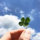 굿컴퍼니 이미지