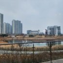 콜리송천점 이미지