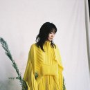 T＝머리 네이버블로그
