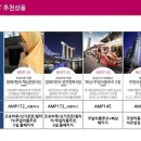새순투어