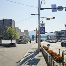 남정로 티스토리
