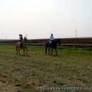 우리승마장 이미지