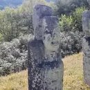 김극뉴 묘역 이미지