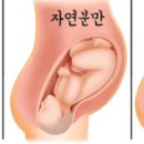 제왕