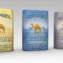 카멜 티스토리
