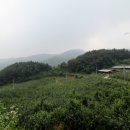 덕고개농장 이미지