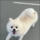 마인드몽 유치원 이미지