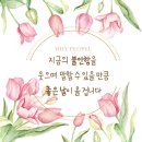 영자를 찾아라! 72기 주목! 해생이의 학교생활이 걱정된다면 여기 주목~ 이미지