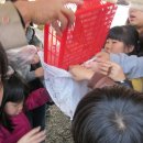 임실튀밥 이미지