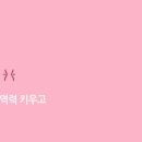 클럽밸런스5 이미지