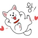 모모댕댕 이미지