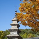 송림사부동산