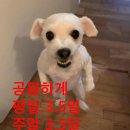 (주)진용 | 크리스마스에는 축복을 !