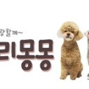 러블리 몽몽 이미지