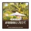 풀POOL당구장 | 나트랑 ) · [아미아나 리조트 깜란] · 부대시설 총정리! 수영장 온수풀부터 매점 김치까지