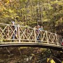 절골목장 이미지