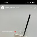 애플이네펫미장원 이미지