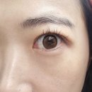 파리안경원 위드렌즈 | 을지로입구역 안경원 "파리안경 위드렌즈 중구명동점" 위드렌즈 멜팅헤이즈 원데이 브라운 구매 후기