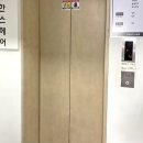 레푸스 성신여대점 이미지