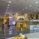 익산 고양이카페 아이캣유 네이버블로그