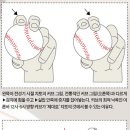 플러스베이스볼 일간스포츠
