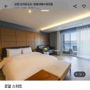 브라운도트 영일대해수욕장점 네이버블로그