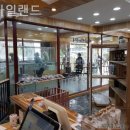 펫 아일랜드 이미지