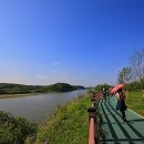 파평면사무소 앞 이미지