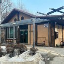 숲을 그리다 이미지